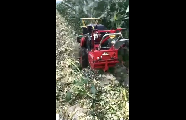 玉米收获机工作过程